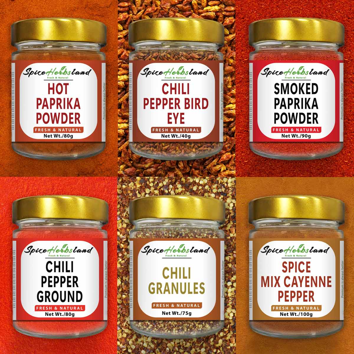 Chili-Collection-_SHB2