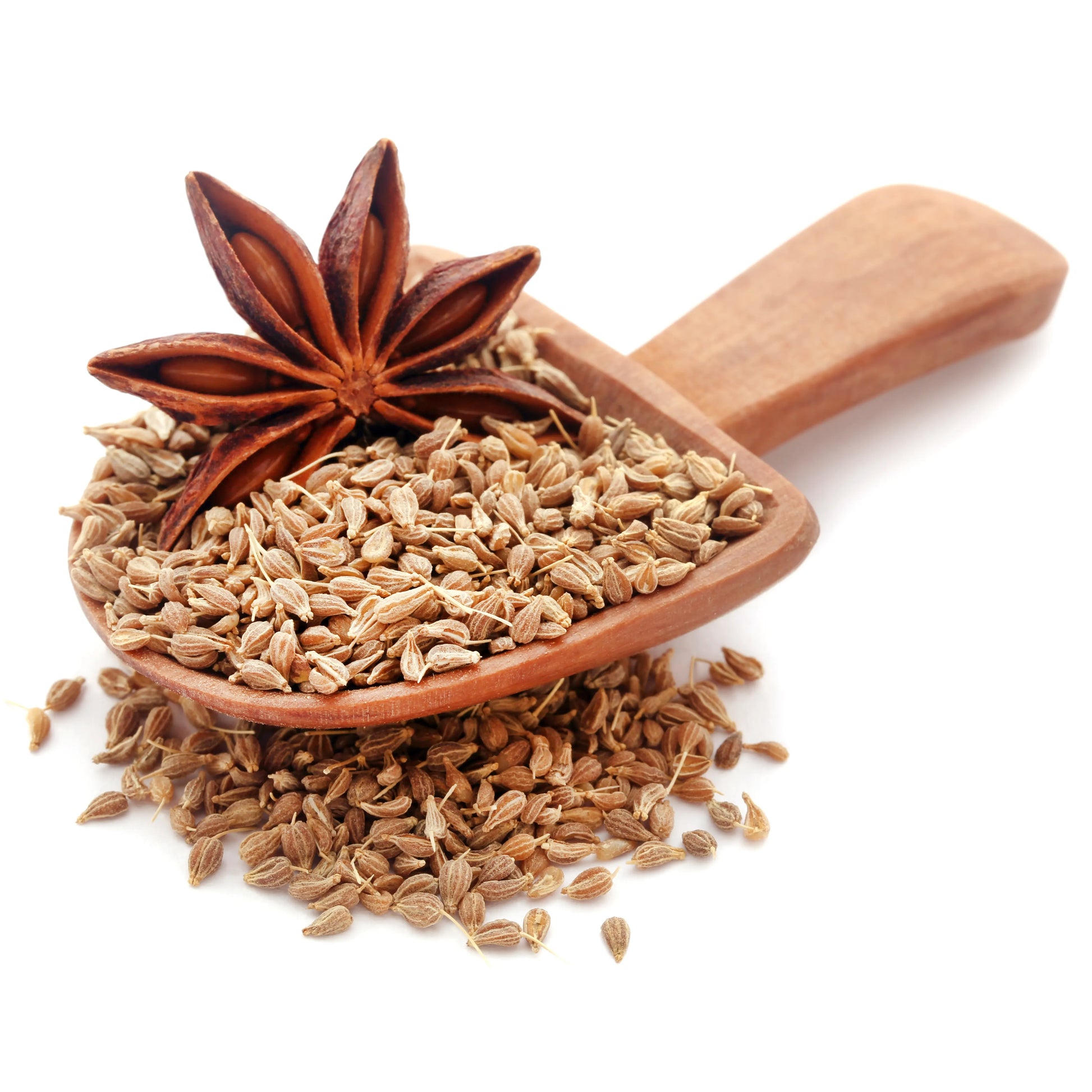 Anise_Seeds_2