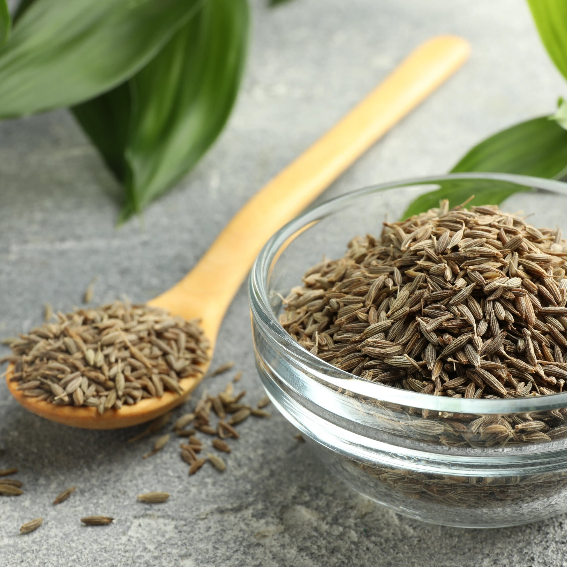 Caraway_seeds_2